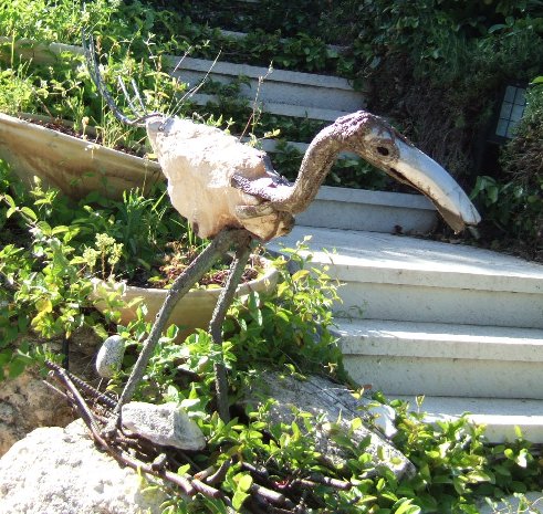 Bird by Uri Sharon Bird by Uri Sharon