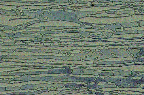 Duplex Microstructure