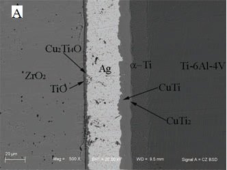 TiZrBrazeA Microstructure